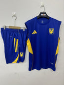 CAMISETA + PANTALONES TIGRES I 25/26 (MANGA CORTA)